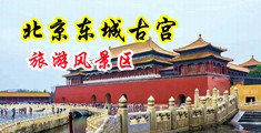 新婚小媳妇操逼中国北京-东城古宫旅游风景区